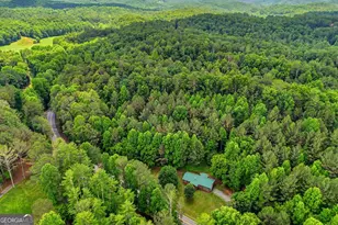 7741 Chatsworth Hwy, Ellijay, GA 30540 - Photo 42