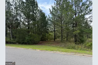1.12 Big Horse Drive, Waynesville, GA 31566 - Photo 2
