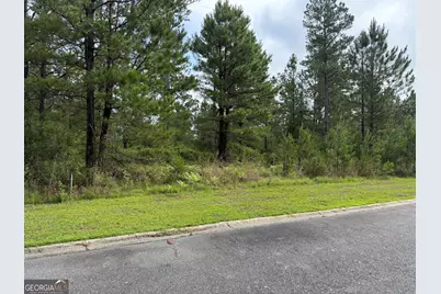 0.59 Big Horse Drive, Waynesville, GA 31566 - Photo 1