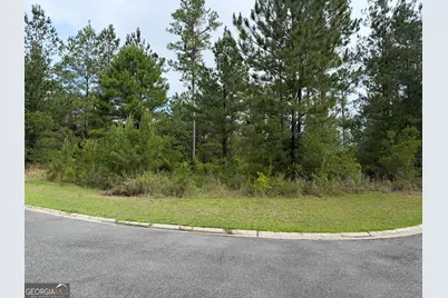 0.59 Big Horse Drive, Waynesville, GA 31566 - Photo 2