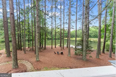 404 Golden Delicious Road, Clarkesville, GA 30523 - Photo 68