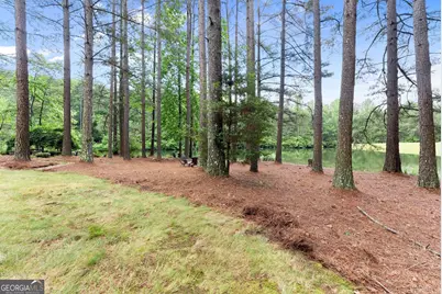 404 Golden Delicious Road, Clarkesville, GA 30523 - Photo 58