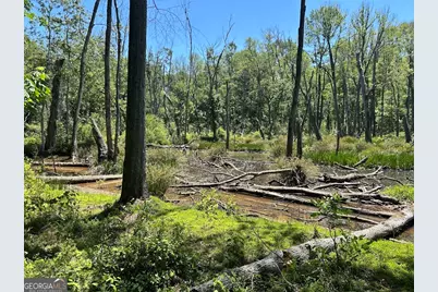 0 Old Draketown Trail, Temple, GA 30179 - Photo 10