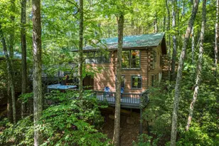 556 Cherry Lake Drive, Cherrylog, GA 30522 - Photo 2