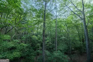 129 N Cherokee Dr, Blue Ridge, GA 30513 - Photo 24