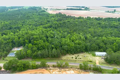 0 Carters Bridge Road, Claxton, GA 30417 - Photo 2
