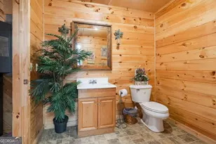 270 Stone Ln, Blue Ridge, GA 30513 - Photo 44