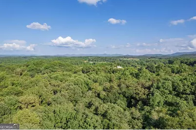 270 Stone Lane, Blue Ridge, GA 30513 - Photo 62