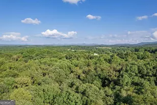 270 Stone Ln, Blue Ridge, GA 30513 - Photo 62