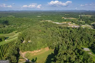 270 Stone Ln, Blue Ridge, GA 30513 - Photo 70