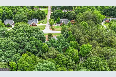 107 Rainwater Court, McDonough, GA 30252 - Photo 50
