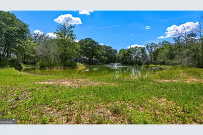0 Ritch Church Road, Screven, GA 31560 - Photo 42