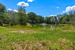 0 Ritch Church Rd, Screven, GA 31560 - Photo 42
