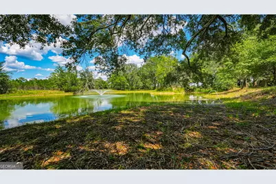 0 Ritch Church Road, Screven, GA 31560 - Photo 16