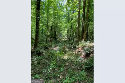 0 Hardman Road, Sautee, GA 30571 - Photo 6