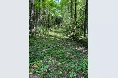 0 Hardman Road, Sautee, GA 30571 - Photo 1