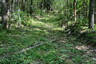 0 Hardman Rd, Sautee, GA 30571 - Photo 1