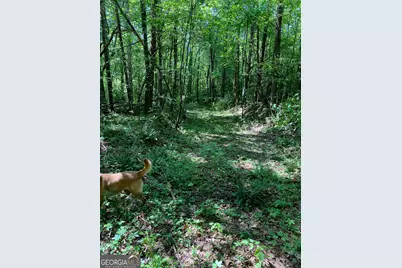 0 Hardman Road, Sautee, GA 30571 - Photo 4