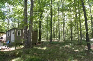 2627 Cole Rd, Carnesville, GA 30521 - Photo 30