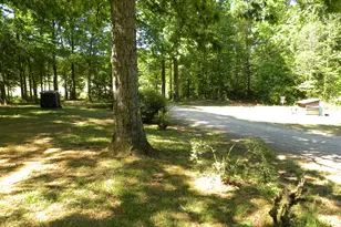 2627 Cole Rd, Carnesville, GA 30521 - Photo 42