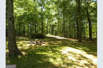 2627 Cole Road, Carnesville, GA 30521 - Photo 40