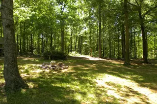 2627 Cole Rd, Carnesville, GA 30521 - Photo 40