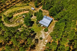 88 Minnesota Rd, Screven, GA 31560 - Photo 2