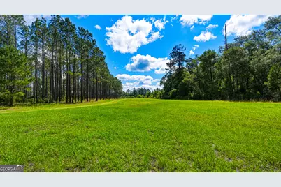 88 Minnesota Road, Screven, GA 31560 - Photo 48