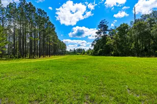 88 Minnesota Rd, Screven, GA 31560 - Photo 48