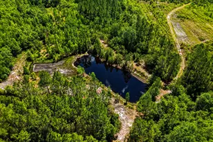 88 Minnesota Rd, Screven, GA 31560 - Photo 8