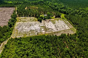 88 Minnesota Rd, Screven, GA 31560 - Photo 6