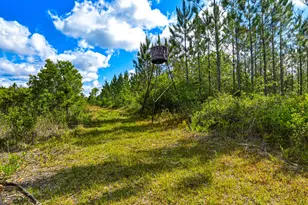 88 Minnesota Rd, Screven, GA 31560 - Photo 46