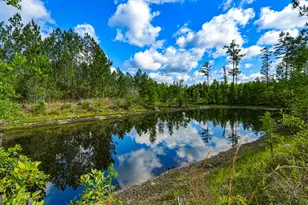 88 Minnesota Rd, Screven, GA 31560 - Photo 44