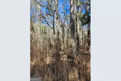 23 Tucker Circle #LOT 23, Lagrange, GA 30240 - Photo 2