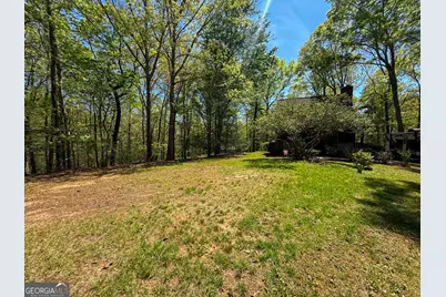 163 Horse Range Place, Cleveland, GA 30528 - Photo 42