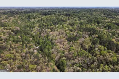 0 Crane Mountain Road, Toccoa, GA 30577 - Photo 4