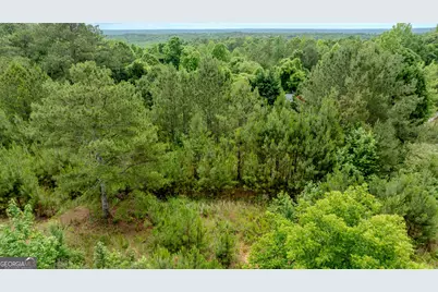 0 Almond Road, Franklin, GA 30217 - Photo 14