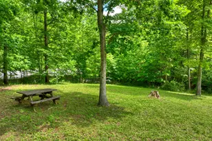 665 Ridgeview Rd, Morganton, GA 30560 - Photo 8
