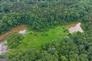 250 Country Lane Rd, Fayetteville, GA 30214 - Photo 60