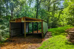 273 Sewell Rd, Bremen, GA 30110 - Photo 60