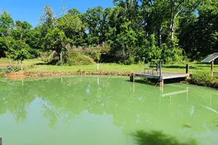 246 Melton Mill Rd, Dawson, GA 39842 - Photo 60