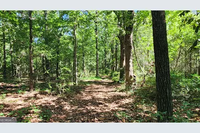 246 Melton Mill Road, Dawson, GA 39842 - Photo 62