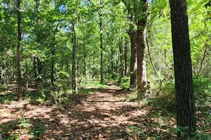 246 Melton Mill Rd, Dawson, GA 39842 - Photo 62