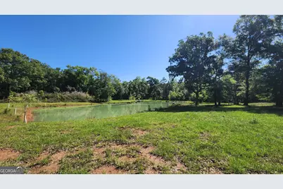 246 Melton Mill Road, Dawson, GA 39842 - Photo 6