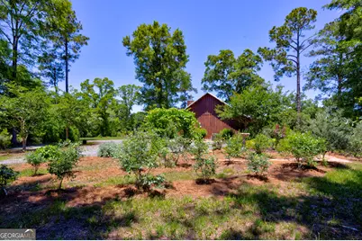 246 Melton Mill Road, Dawson, GA 39842 - Photo 22