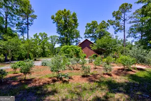 246 Melton Mill Rd, Dawson, GA 39842 - Photo 22