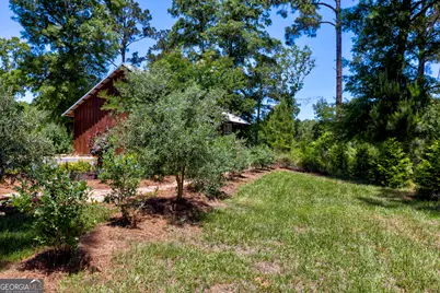 246 Melton Mill Road, Dawson, GA 39842 - Photo 44