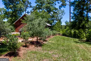 246 Melton Mill Rd, Dawson, GA 39842 - Photo 44