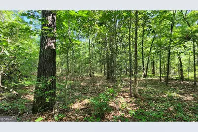 246 Melton Mill Road, Dawson, GA 39842 - Photo 8