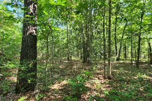 246 Melton Mill Rd, Dawson, GA 39842 - Photo 8